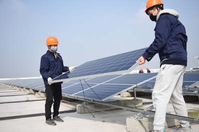 ������ά